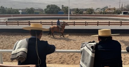 Clínica de Funcionalidad dictada por Rodrigo Castell concitó gran interés en Arica