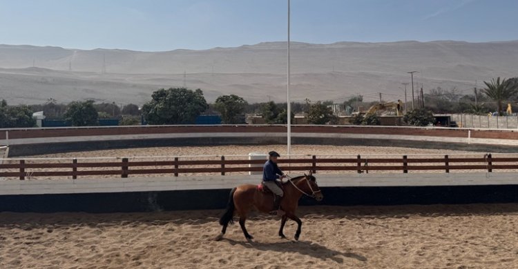 Rodrigo Castell: En Arica hay caballos competitivos como en cualquier parte de Chile
