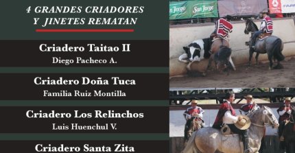 Criaderos Taitao II, Los Relinchos, Doña Tuca y Santa Zita tienen atractivo remate este miércoles
