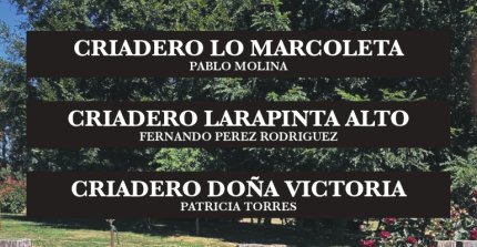 Criaderos Lo Marcoleta, Doña Victoria y Larapinta Alto salen a remate este jueves