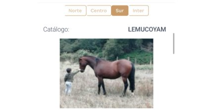 App Caballo Chileno llama a utilizar sus características en el catálogo de ejemplares
