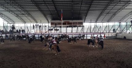 Rodeo de los Jurados se realizará este viernes en el Templo del Huaso
