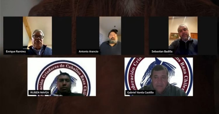 [Video] En Raza Chilena conversamos sobre la Final de Criadores 2026 y ...