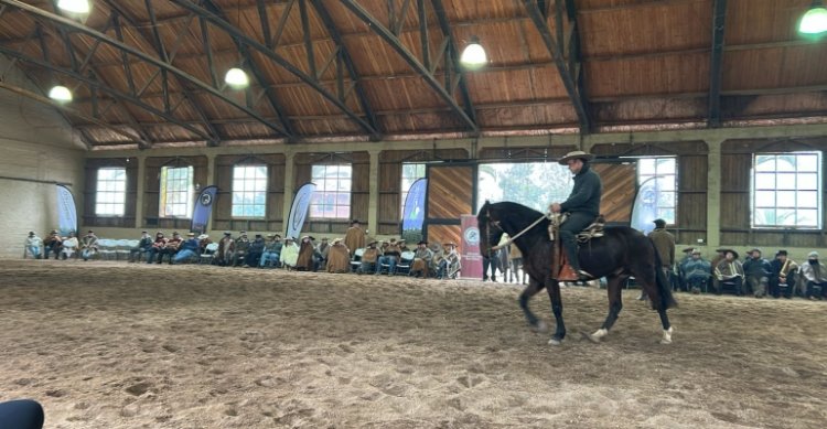 [Video] La jornada del Rienda sin Fronteras en el Criadero Claro de ...