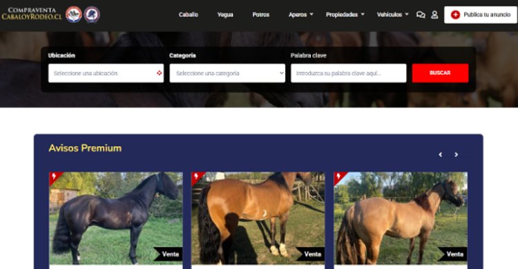 CaballoyRodeo renovó su Portal de Compraventa con nuevas funciones y diseño