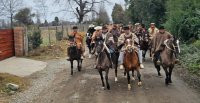 Un día muy familiar: Criadores de Ñuble vivieron su primera cabalgata