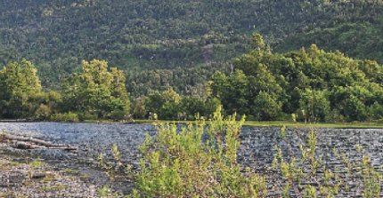 Criaderos Río Claro, San Juan de Jahuel, Rinconada y El Convento tienen interesante remate