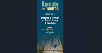 Este martes cierra el remate de montas a beneficio de la Asociación de Criadores de Casablanca