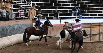 Los talleres de la Asociación de Criadores de Choapa en Illapel