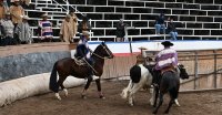 Los talleres de la Asociación de Criadores de Choapa en Illapel