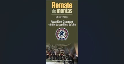 ¡A participar! Remate de montas a beneficio de los Criadores de Talca está en desarrollo