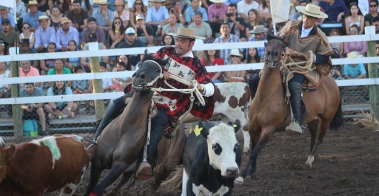 Fecha de Pruebas Funcionales de los Criadores de Linares toma mucha fuerza