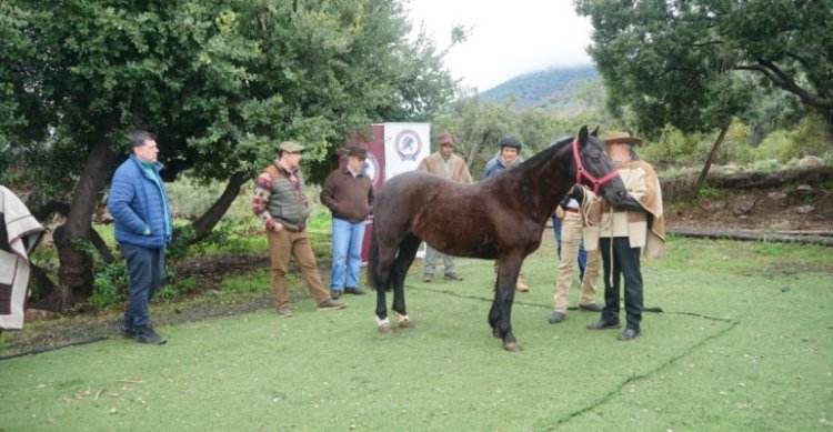 Jurados valoraron capacitación en Parque Mahuida: