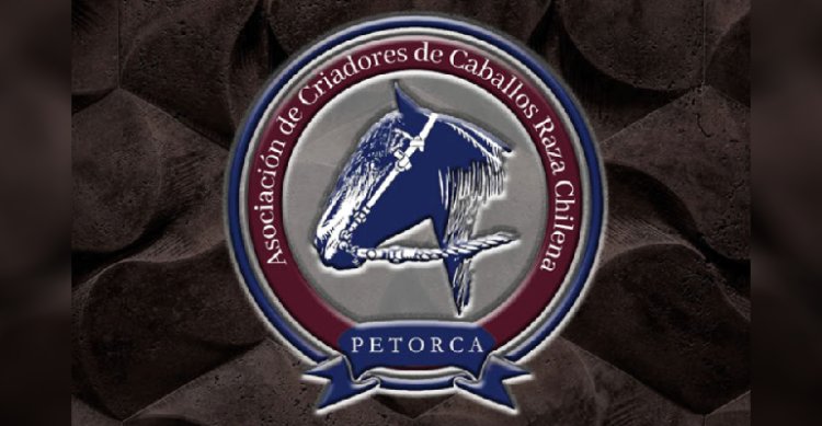 Criadores de Petorca desarrollan remate de montas con oportunidades imperdibles