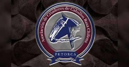 Criadores de Petorca desarrollan remate de montas con oportunidades imperdibles