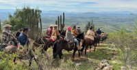 Diez años de historia de la Cabalgata de los Criadores de Casablanca y Melipilla