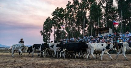 Todo listo para la competencia de Pruebas Funcionales en la Medialuna de San Javier