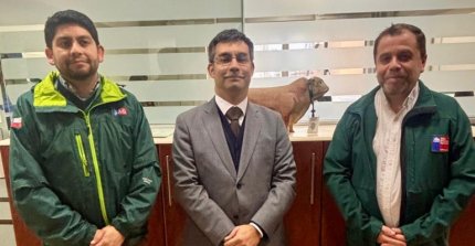 Ferochi y el SAG sostuvieron reunión de trabajo para unificar criterios en autorización de rodeos