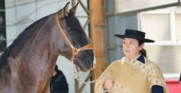 Colegio Raiquén de Yumbel tuvo jornada de "El Caballo En la Escuela"