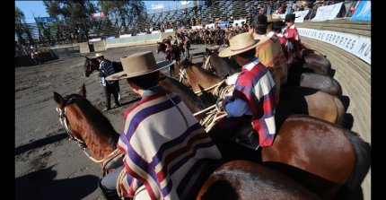 Asociación Aguanegra trabaja a a todo galope para el Nacional Escolar 2025