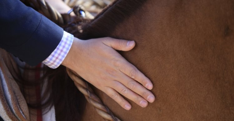 Salamanca da el puntapié inicial a las Fiestas Patrias con un Rodeo Para Criadores