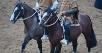 Asociación Petorca se reúne con doble cita: Tiene premiación y rodeo
