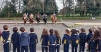 El Club Llanquihue visitó colegios de Puerto Varas para que niños interactuaran con caballos chilenos