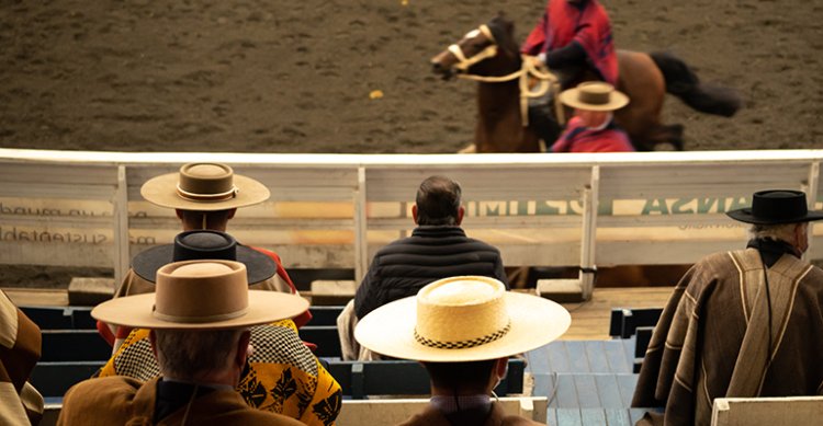 Dos nuevas instituciones se sumaron a la Confederación de Rodeo Chileno