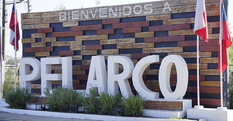 En Pelarco también habrá rodeo para criadores este fin de semana