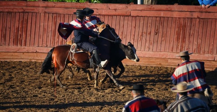 [STREAMING] Las coordenadas para ver el Zonal Norte de Batuco