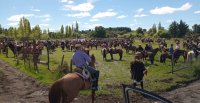 Municipalidad de Cabrero y Criadores de Concepción tuvieron otra exitosa cabalgata familiar