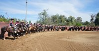 La gran Serie de Campeones del Zonal Norte 2025 en Batuco