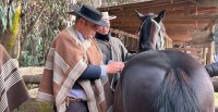 [Streaming] Sigue los Grandes Premios de la Expo Ñuble desde Pemuco por CyG TV