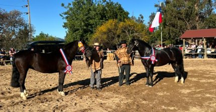 Bosquejo y Diligencia fueron los mejores de la ExpoGama en Marchigüe
