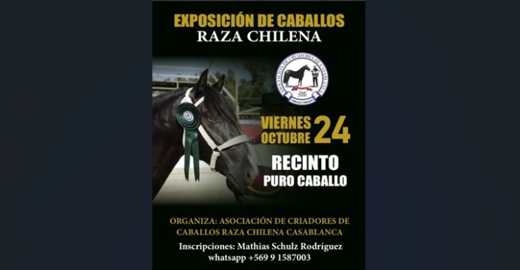 Criadores de Casablanca invitan a participar en su exposición del 24 de octubre