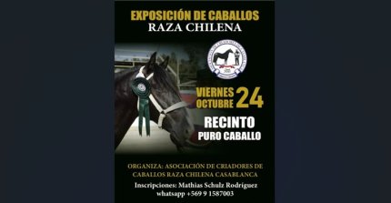Criadores de Casablanca invitan a participar en su exposición del 24 de octubre