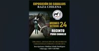 Criadores de Casablanca invitan a participar en su exposición del 24 de octubre