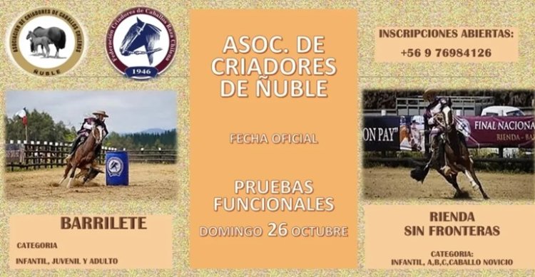 Criadores de Ñuble realizarán fecha oficial de Barrilete y Rienda Sin Fronteras este domingo
