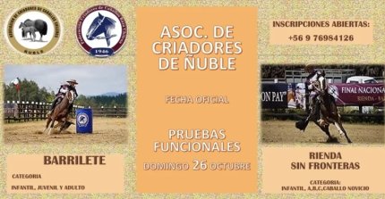 Criadores de Ñuble realizarán fecha oficial de Barrilete y Rienda Sin Fronteras este domingo