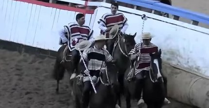 Criadero Ramahueico se llevó los honores del rodeo del Club Arturo Prat de Ninhue