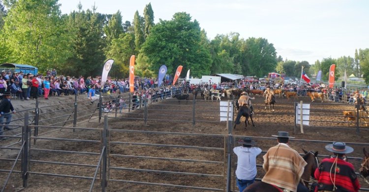 Quillón vivió una gran fiesta comunal con las Pruebas Funcionales