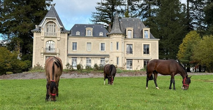 Un gran paso cumplido: El Caballo Chileno desembarcó en Europa