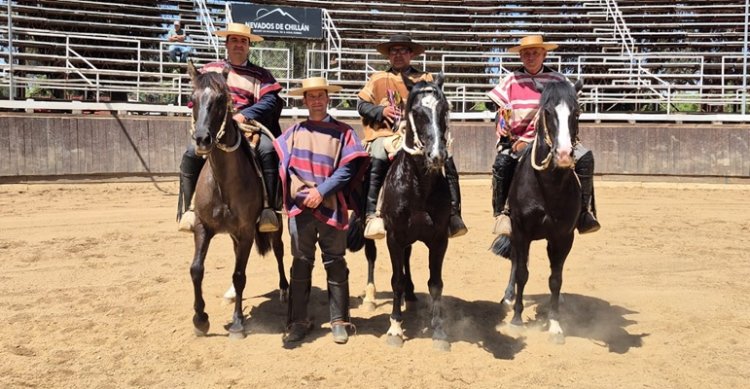 Las pruebas funcionales de los Criadores de Ñuble en San Carlos