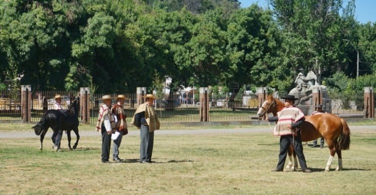 Están abiertas las inscripciones para la Expo Curicó que tendrá nuevo escenario y una interesante charla
