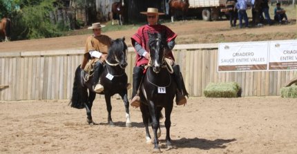 Asociación Itata abrió inscripciones para su exposición y pruebas funcionales