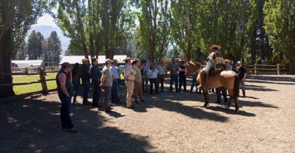 La concurrida actividad de los Criadores de Aysén en Coyhaique