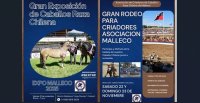 Malleco trabaja para su tradicional evento de criadores en Collipulli