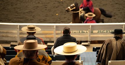 Rodeo Zonal Sur de Río Rahue: Inscripciones serán online