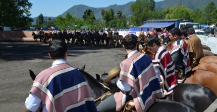 Así se vivió el Rodeo Provincial en Series de Sexo del Club Los Niches