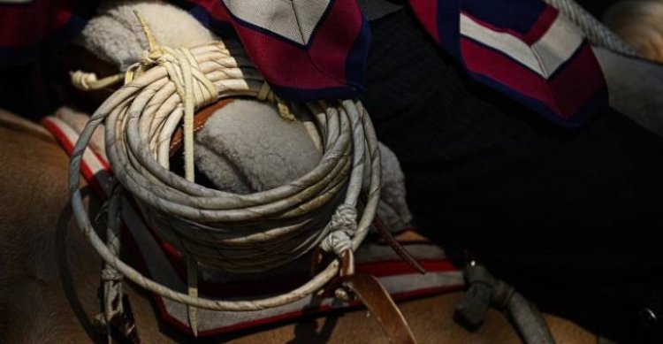 El programa del Rodeo Zonal Sur 2025 que se desarrollará en Purranque